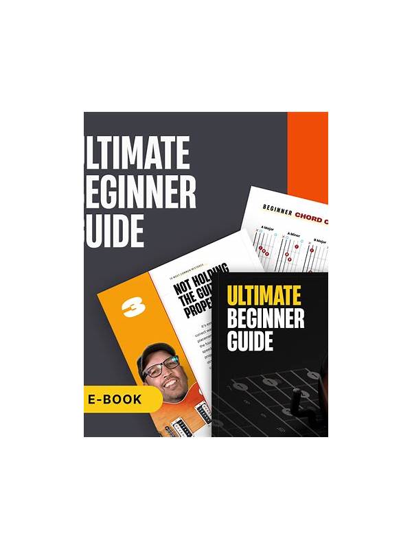 Beginner Guide on