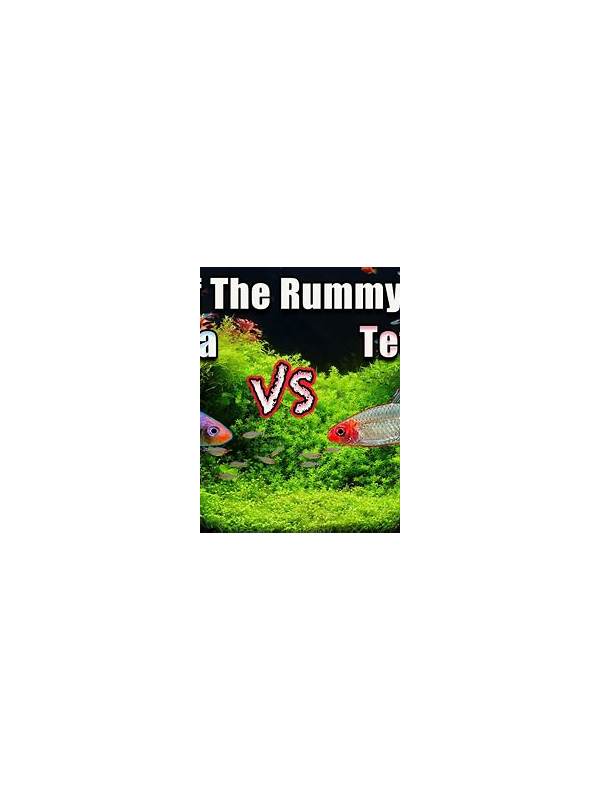 Rummy Comparison: Device Comfort Versus Raw Screen Size